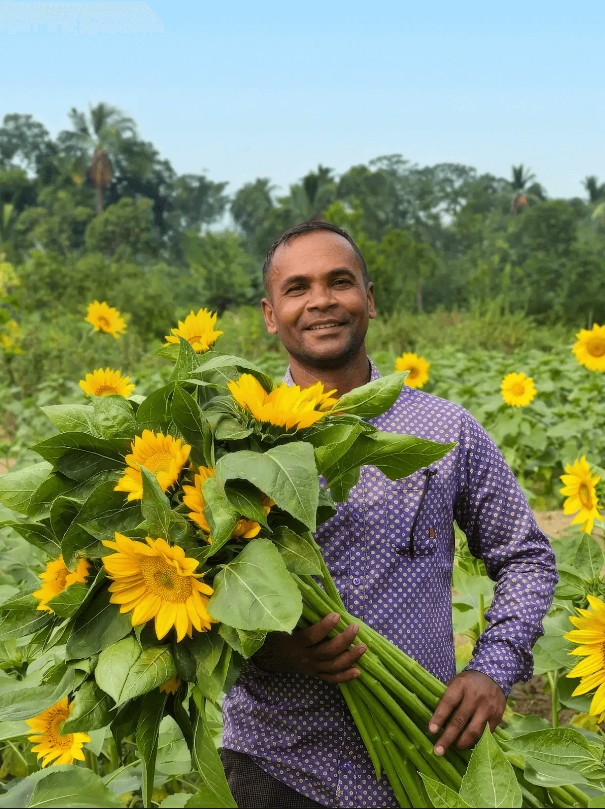 Malik’s Flower