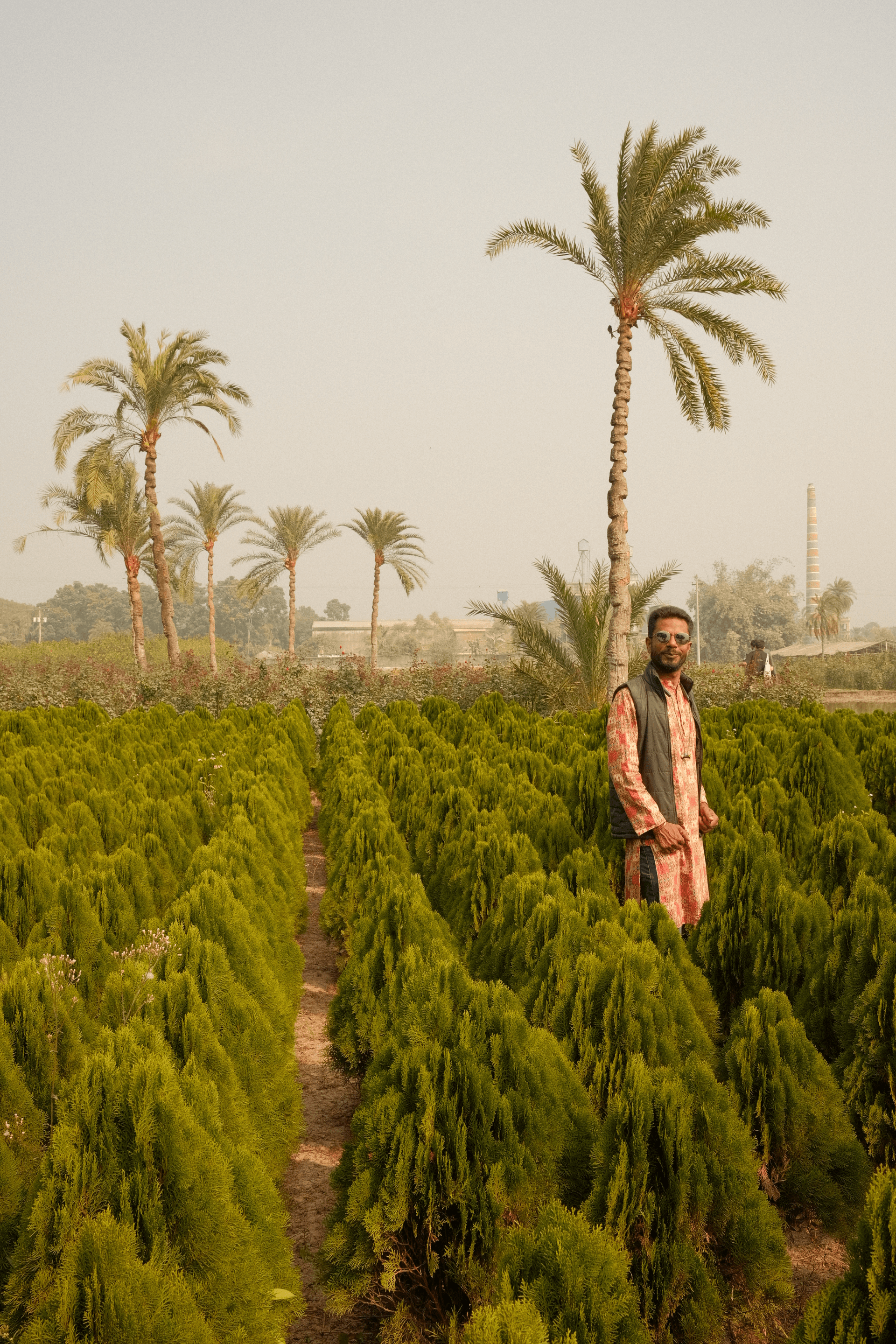 From our trial beds
to your fields - image 2