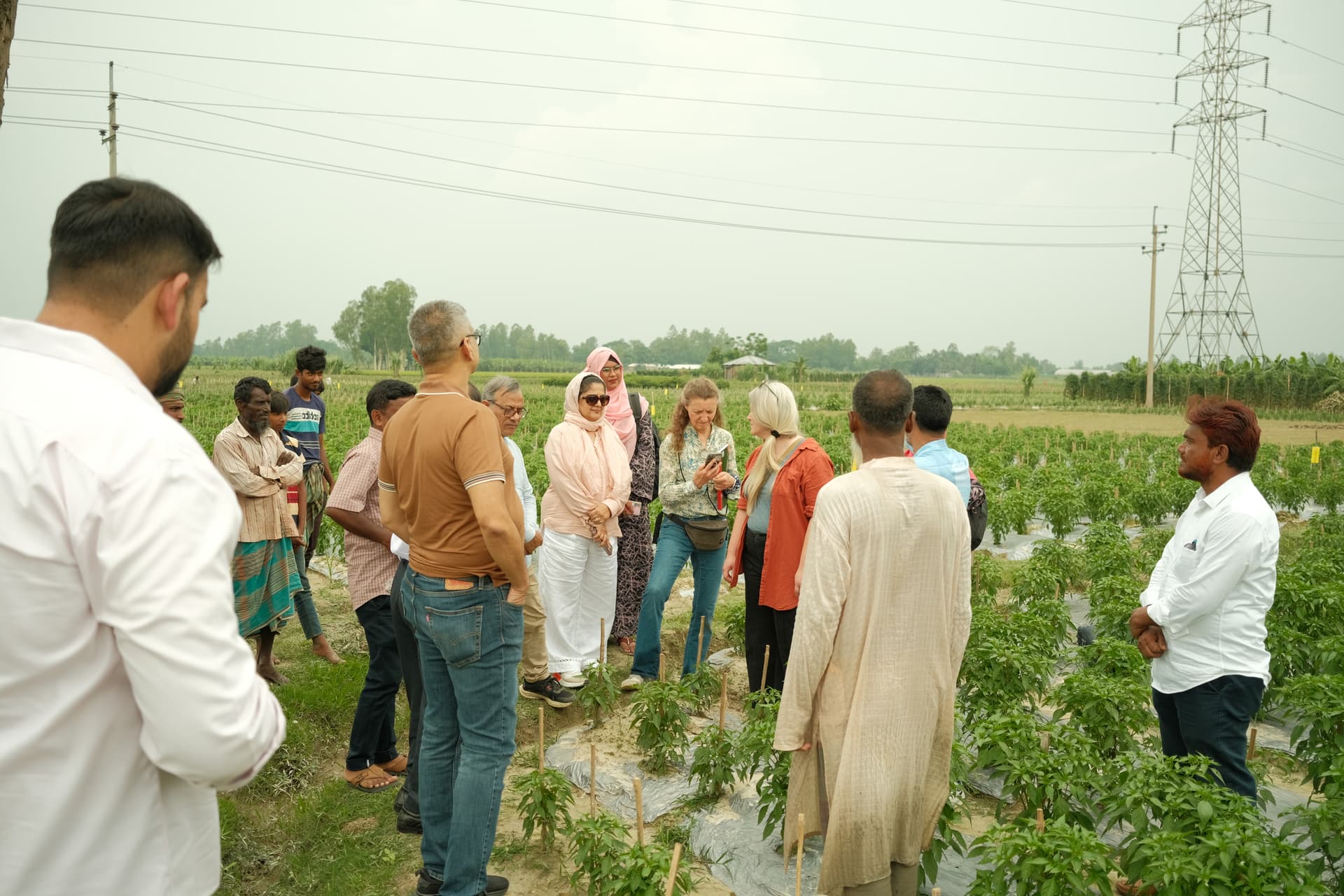 Building a Connected Agricultural Ecosystem
