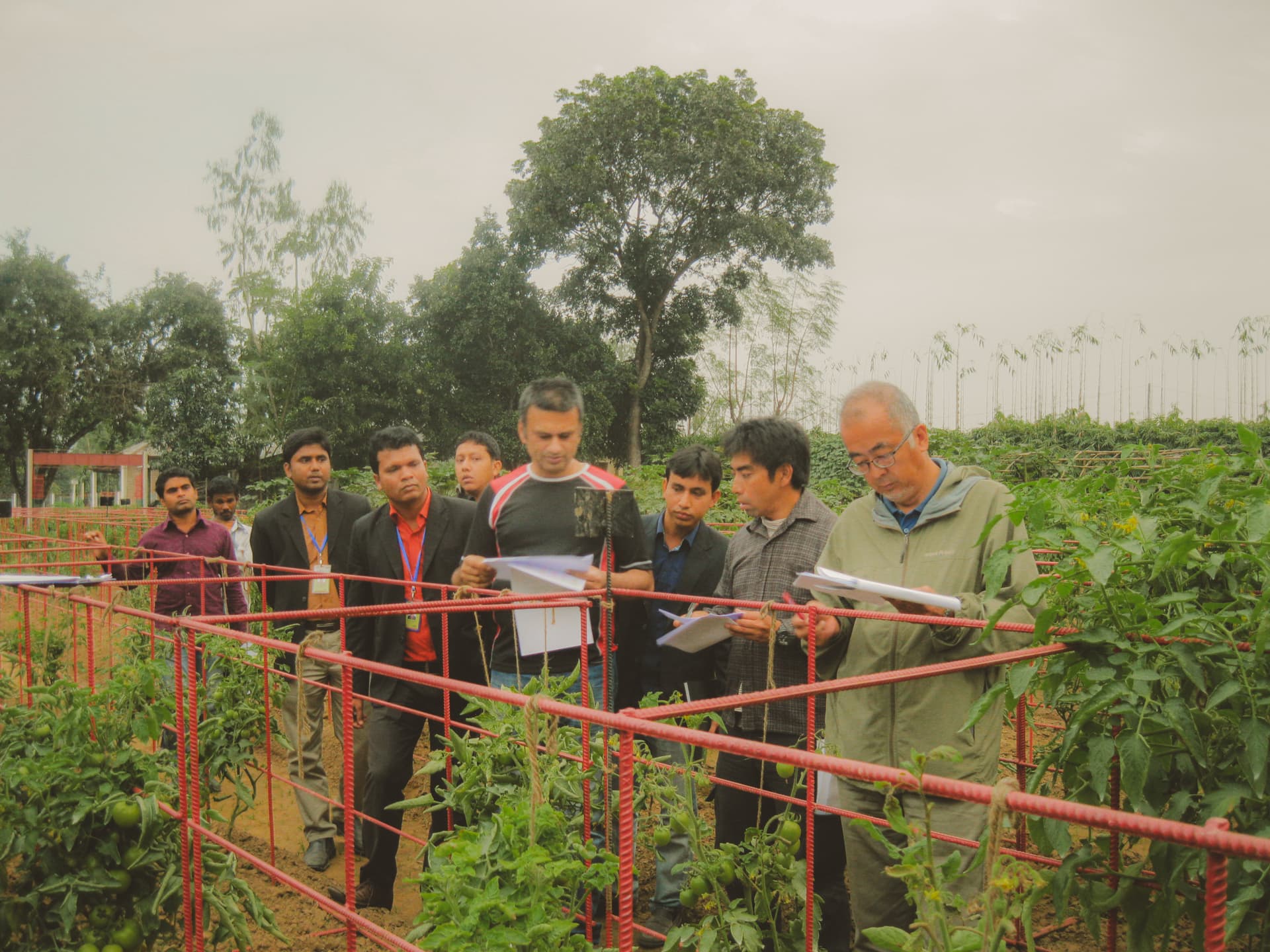 Structured field trials variety check