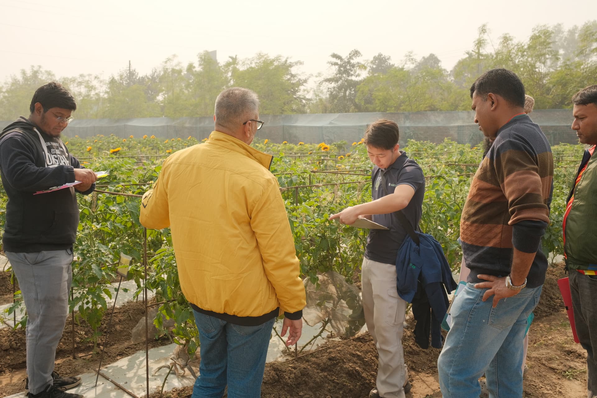 Product evaluation during harvest