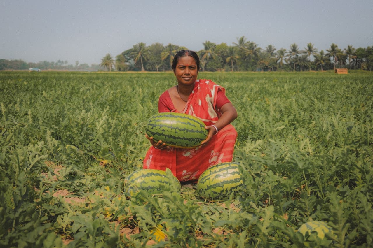 Farmer first - smiling worker in seed production fields
