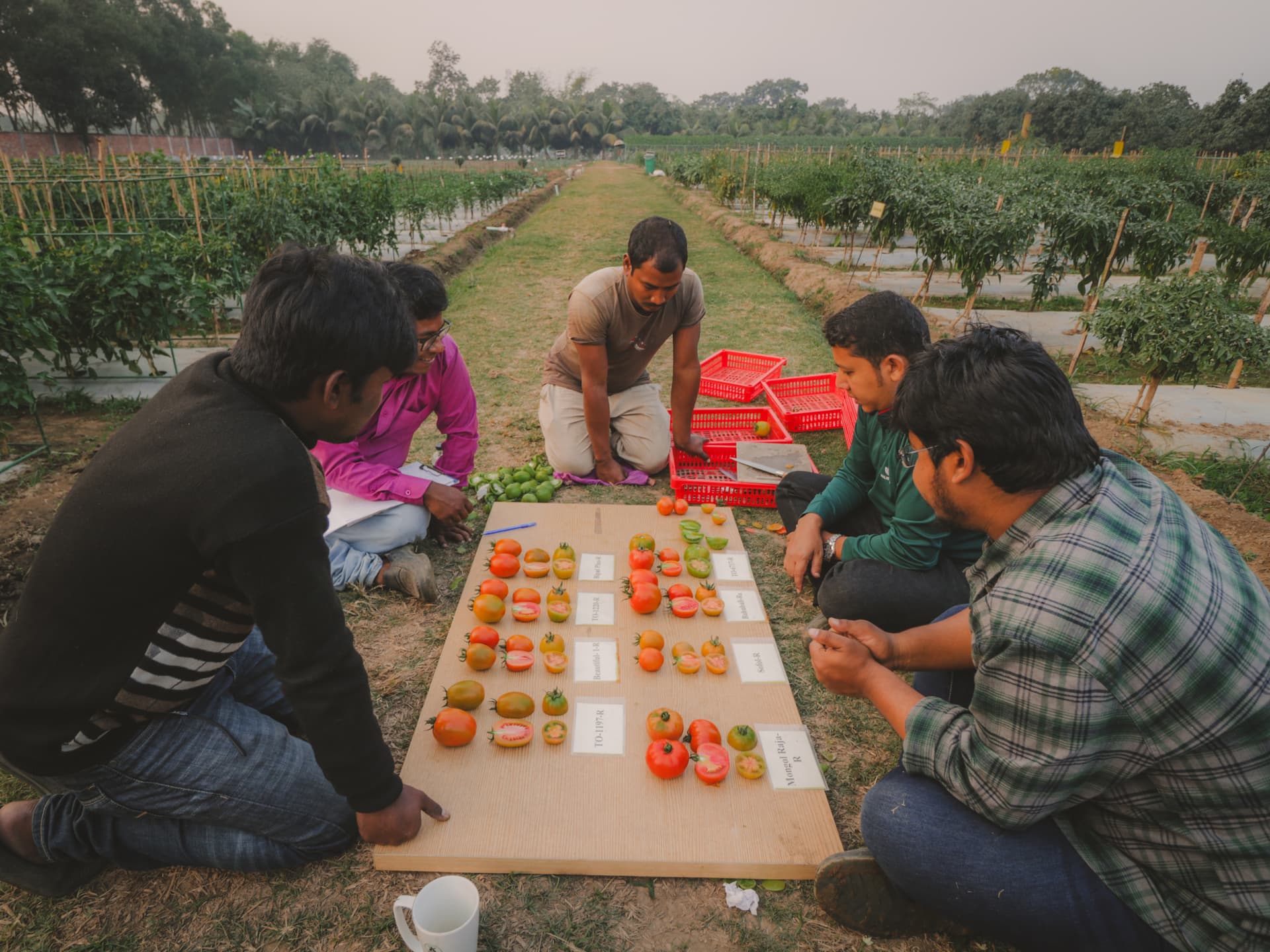 Research backed - lab environment for seed testing