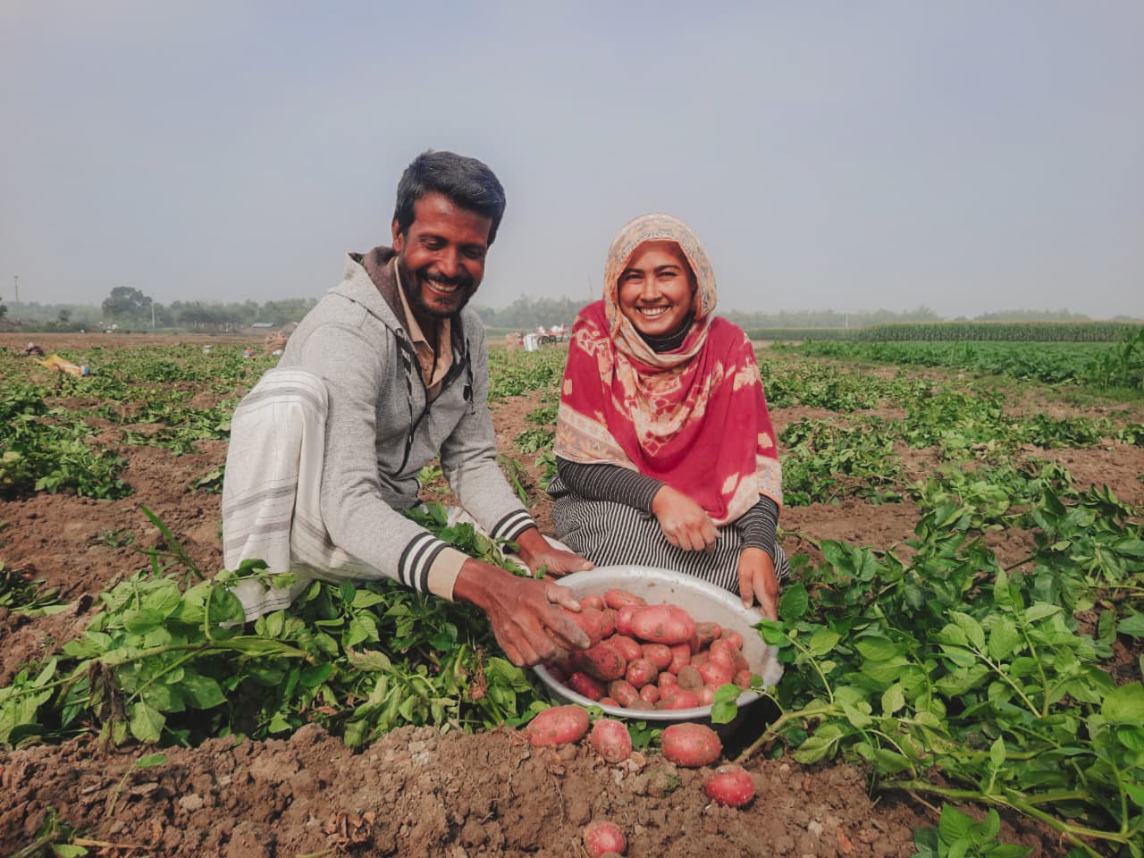 Carefully selected varieties developed through global partnerships - image 1