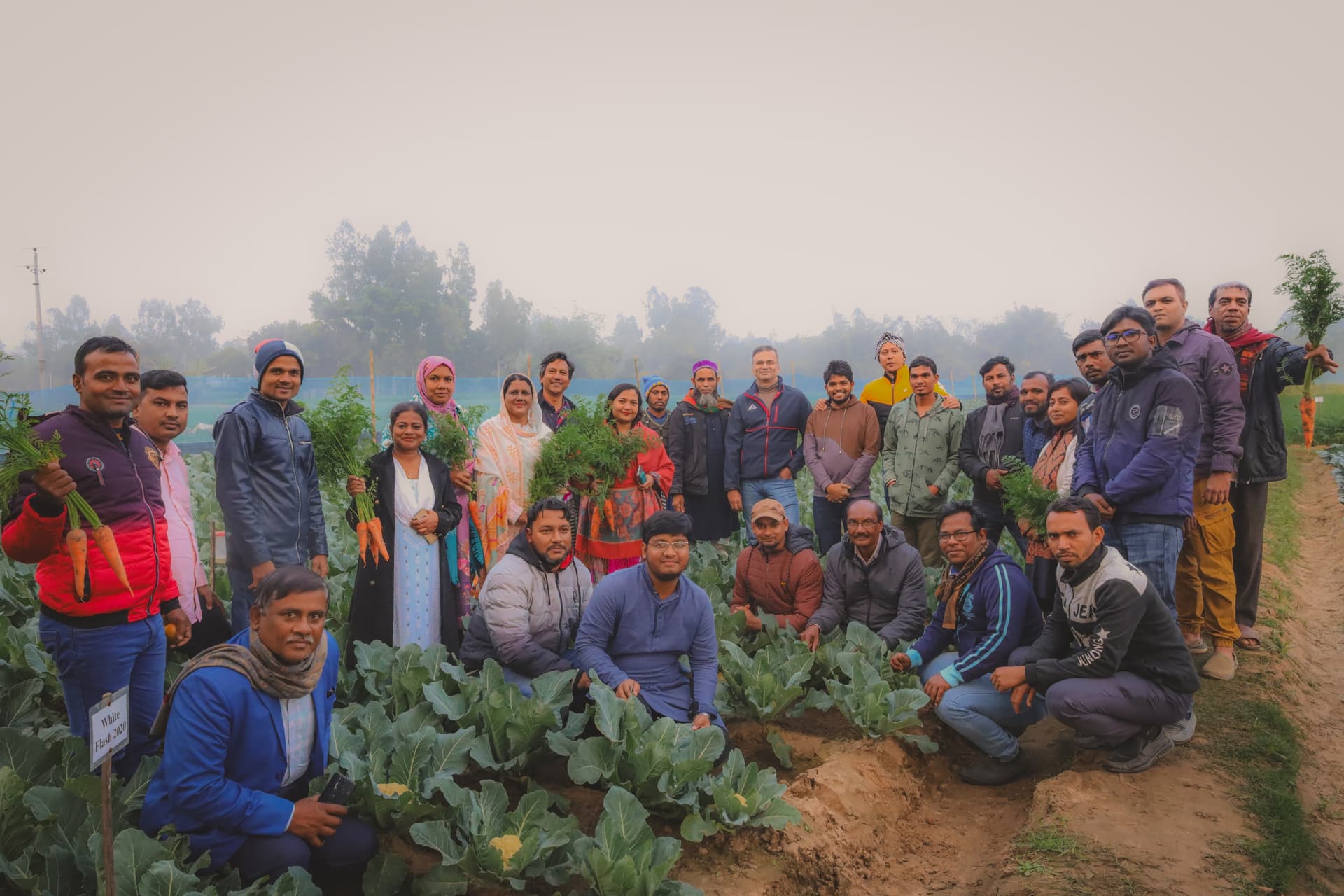 Malik Seeds team collaboration