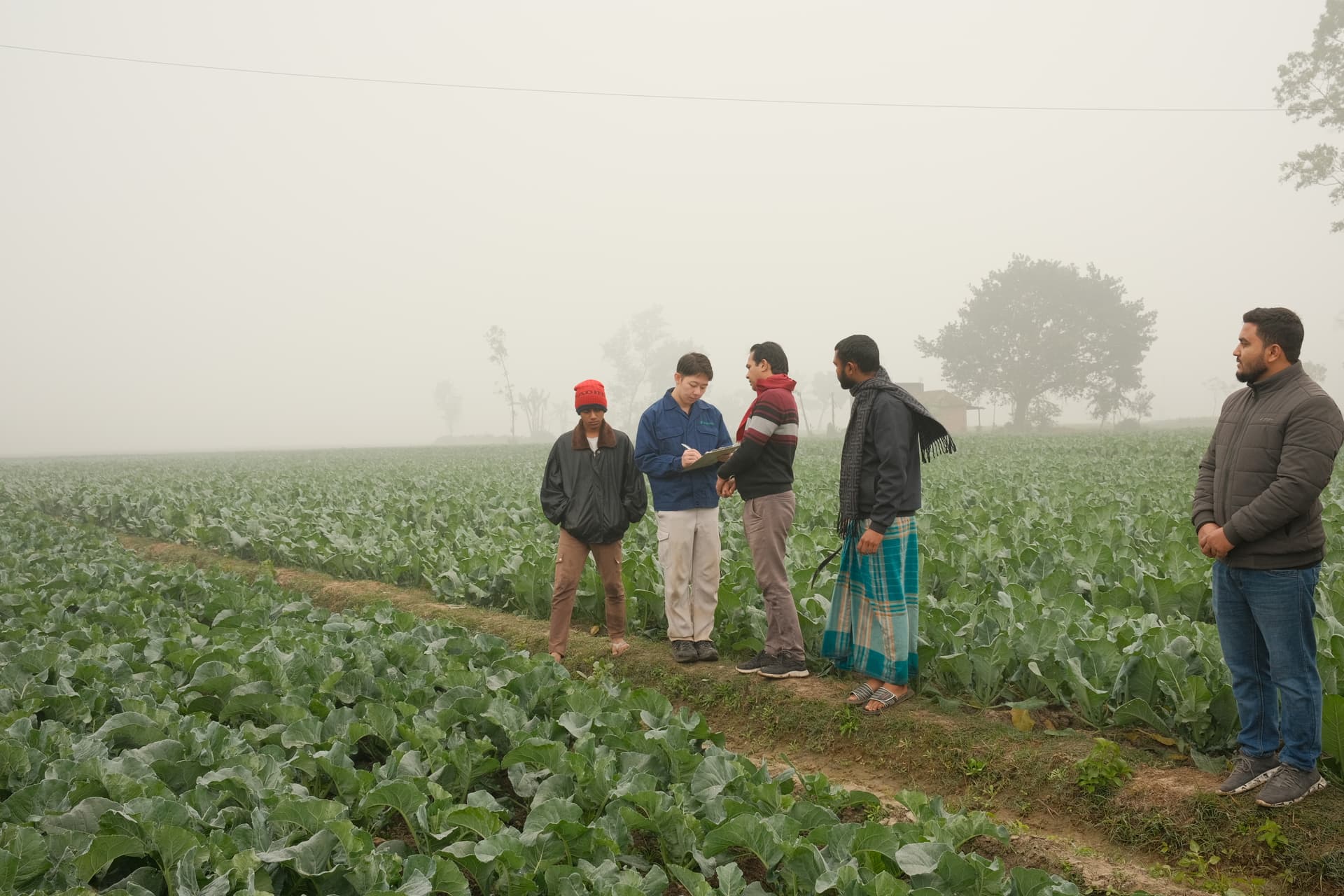 50 Years of
Feeding Bangladesh