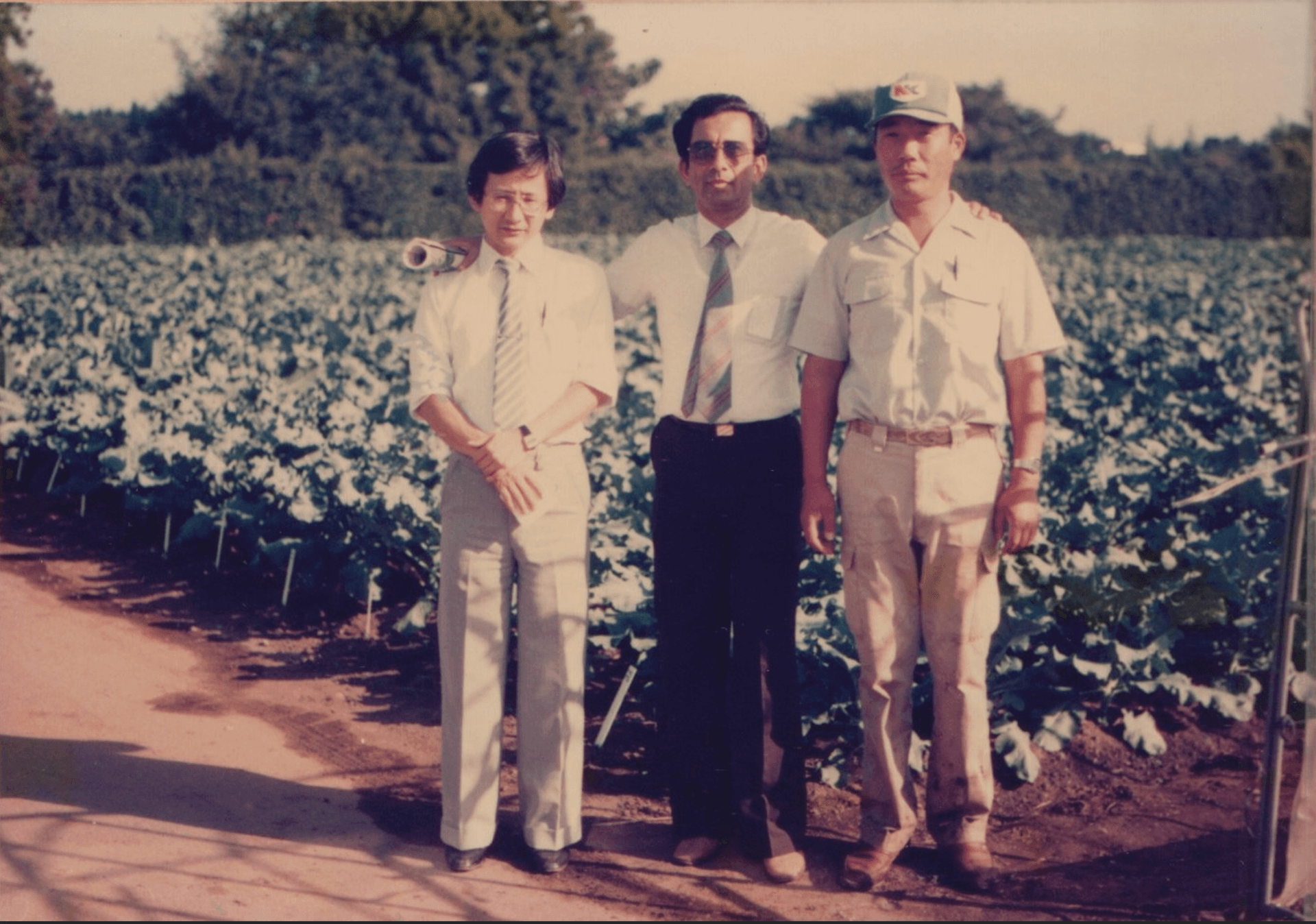 Malik Seeds is Founded