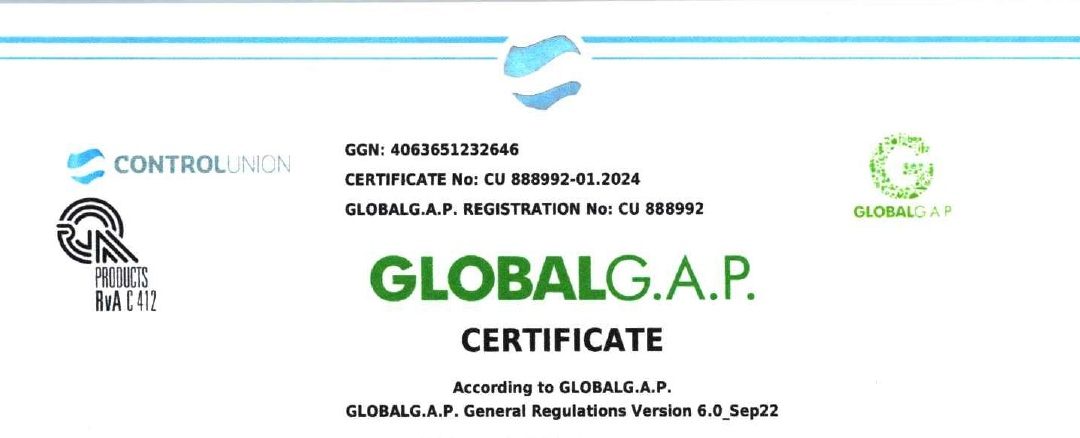 Maliks farm got Global GAP certificate on Mango and 10 vegetables
